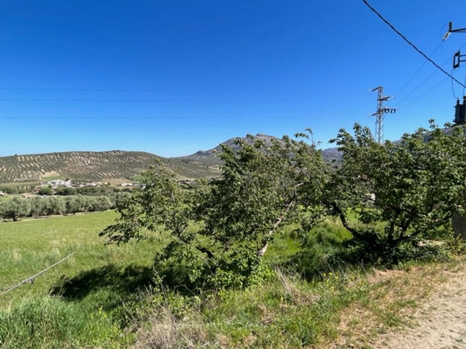 Landejendom i Villanueva Del Trabuco, Malaga - foto 5